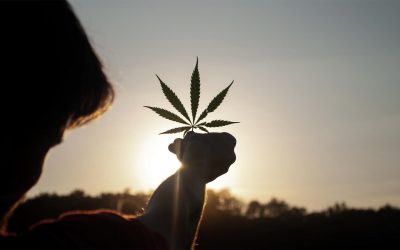 Georgia Medical Cannabis: What you need to know