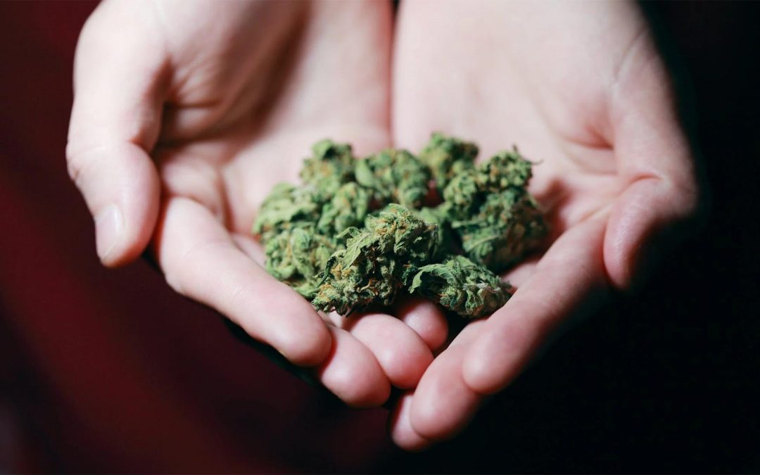 Cannabis Legislation in Georgia for the 2022 Cycle
