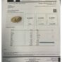 Beanz Moon Rock COA.jpg